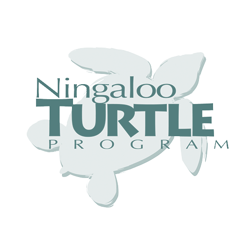 ningaloo-turtle-program-icon